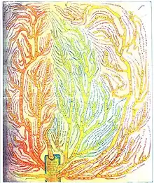 The family genealogical tree of the Pateras family from 1770, as presented in the Chios Maritime Museum