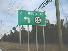 A green sign along a road lined with trees and power lines reading alt route to Route&nbsp;55 with an arrow pointing to the left