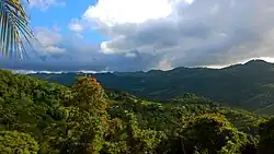 A view of Magueyes from Cuchillas in Corozal