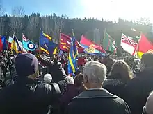 Flags marching through a crowd