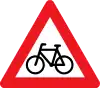 A21: Cyclists