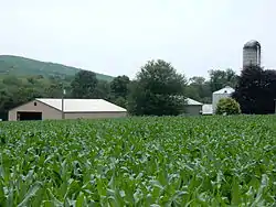 Farm on Valley Road in Walker Township