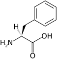 L-Phenylalanine(Phe / F)