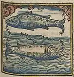16th century woodcut by Johannes Regiomontanus.