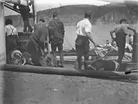 Getting the dogs on board after their stay in quarantine in Hobart