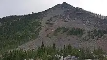 Mountain goats seen on the bare, rocky slope of the volcano, to the right of a forested area
