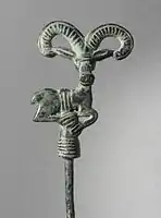 Ibex or mouflon pin head