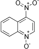 Structural formula of 4-nitroquinoline 1-oxide