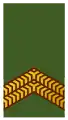 Korporaal der 1e klasse(Royal Netherlands Army)