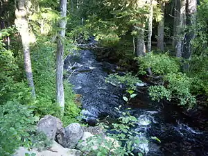 View of tributary from road to Breitenbush Lake of North Fork Of North Fork of Breitenbush River