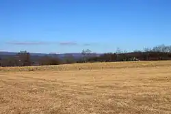 Northeastern Huntington Township