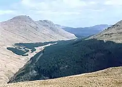 On the north ridge of Beinn Lagan. looking east to Beinn Lochain along what is now the route of the Cowal way.