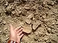 Pottery fragments, illegal exavations at the ancient city of Kish, Tell al-Uhaymir, Iraq