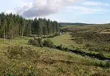 The River East Dart at Bellever looking upstream. Forestry Commission land on the left, open moorland on the right