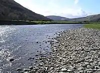 River Tweed, near Walkerburn