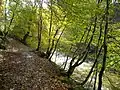 Typical forest walking path along the banks of the Rotten Calder