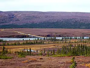 The Susitna River bridge on the Denali Highway is 1,036 feet (316 m) long.