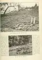 [Top] Confederate Dead at the Rose Farm near the Rose Woods[Bottom]Confederate Dead at the Rose Woods