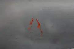 Red "A" on propeller.