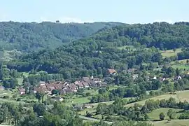 A general view of Moiron