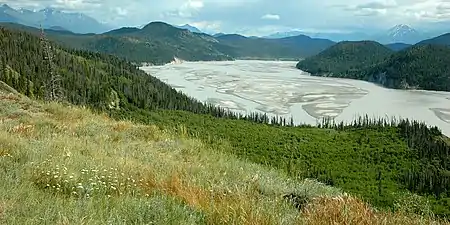Chitina River from McCarthy Road, east of Chitina, Alaska, USA (28 June 2009)