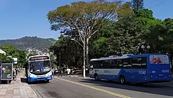 Dois ônibus brancos com a parte inferior e a metade traseira azul passando próximo a uma praça arborizada.