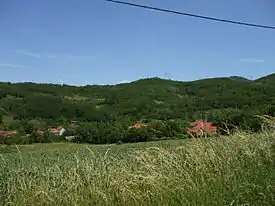 Vue générale de Donje Vlase