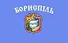 Bandeira de Boryspil