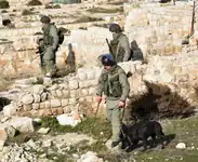 Remoção de minas por sapadores russos da cidadela histórica da antiga fortaleza de Aleppo. Janeiro de 2017