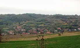 Vue générale de Čubura