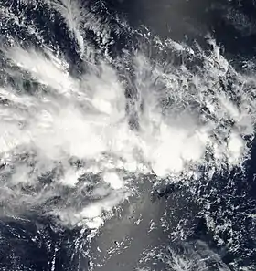 imagem ilustrativa de artigo Depressão tropical 04F (2009)