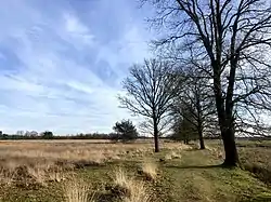 Paisagem de Warteren