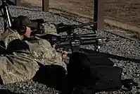 Atiradores da Equipe de Resposta de Segurança Marítima da Guarda Costeira dos EUA com Mk 11s.