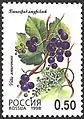 Uva de Amur no selo postal da Rússia em 1998