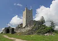 Fortaleza de Anacopia na Montanha Ibéria