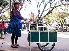 Chola chuquisaqueña em Sucre