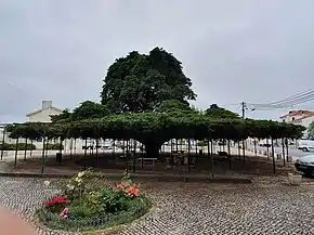 Largo 25 de Abril, em Runa