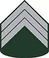 3° Sargento do Exército Brasileiro