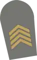 Primeiro-sargento (Exército)