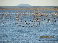 Açude Castanhão.