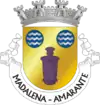 Brasão de armas de Madalena