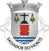 Brasão de armas de Salvador do Monte