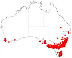 Distribuição de  Dados de ocorrência da acácia-negra no AVH