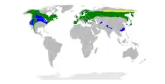 Distribuição de A. gentilis Amarelo:nidificação, verde: anual, azul: inverno