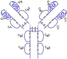 Estrutura química de Adalimumabe