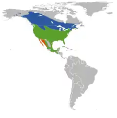 Distribuição de A. phoeniceus &nbsp;&nbsp;Reprodução&nbsp;&nbsp;Invernante&nbsp;&nbsp;Residente
