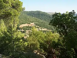Floresta ao redor de Ajloun