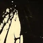 Sonderkommando em Auschwitz-Birkenau, agosto de 1944 (foto clandestina)