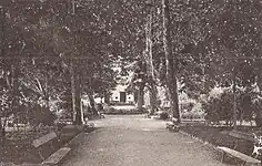 Alijó (Jardim Matos Cordeiro).