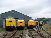 Todas as seis Deltics preservadas em Barrow Hill.